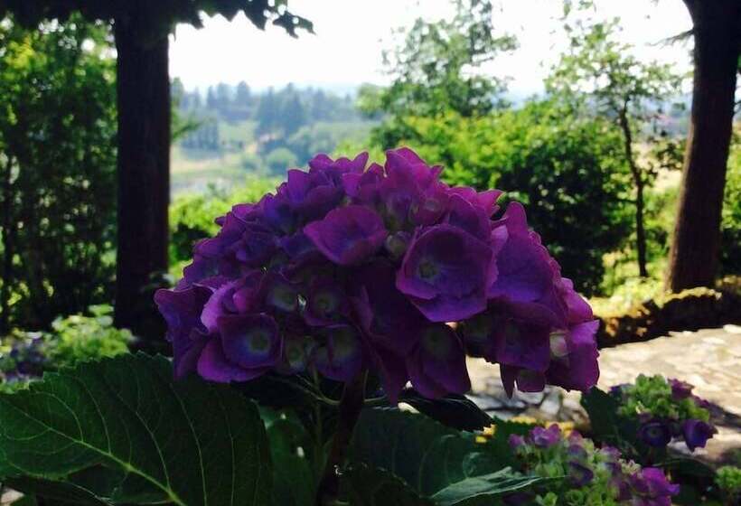 교외 호텔 Agriturismo Podere Luciano