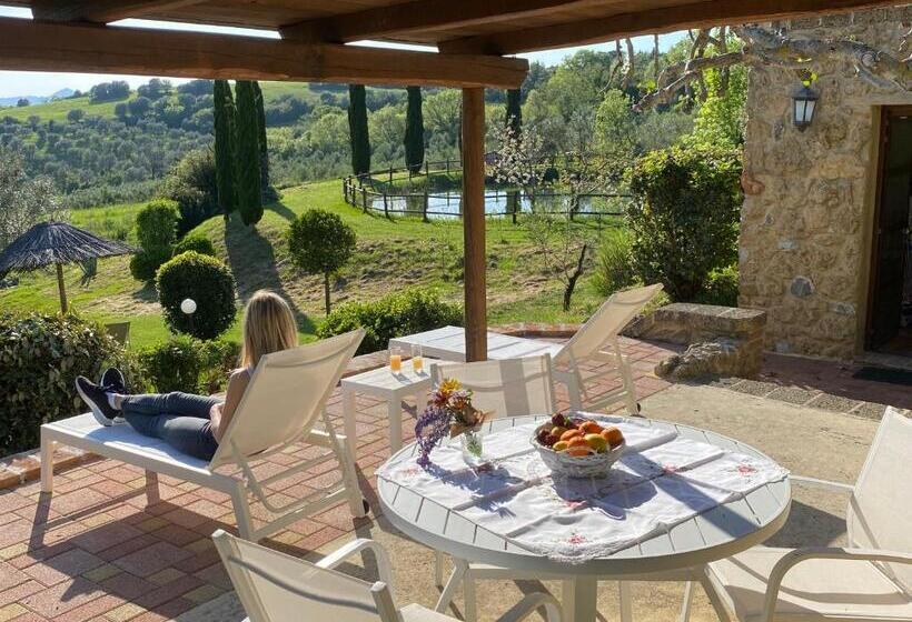 교외 호텔 Agriturismo San Tommaso