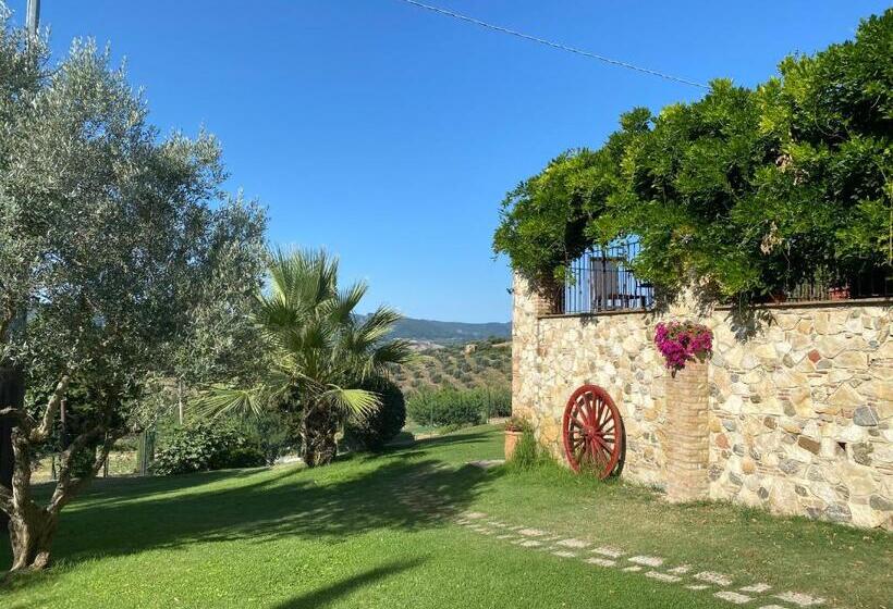 교외 호텔 Agriturismo San Tommaso