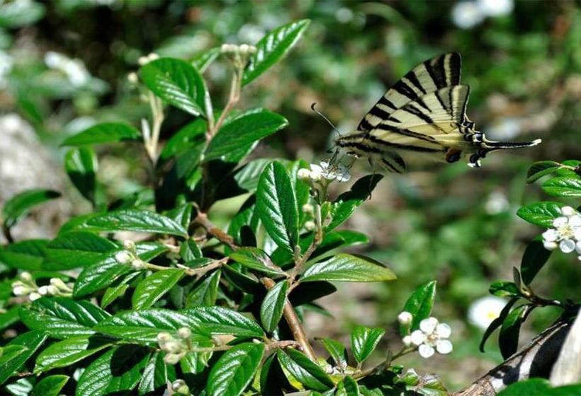 Сельский отель Belvedere Cramaccioli