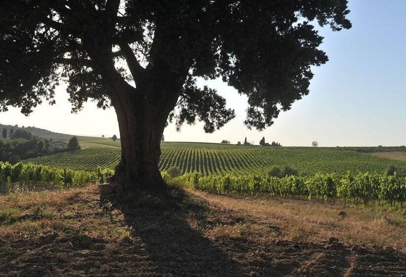فندق ريفى Fattoria Lornano Winery