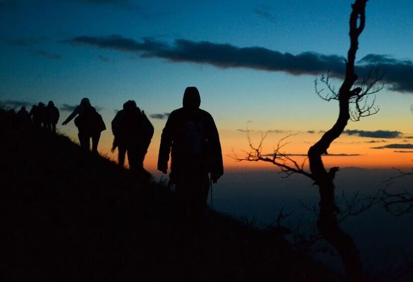 בית מלון כפרי Agriturismo Isola Dei Calanchi   Guest House