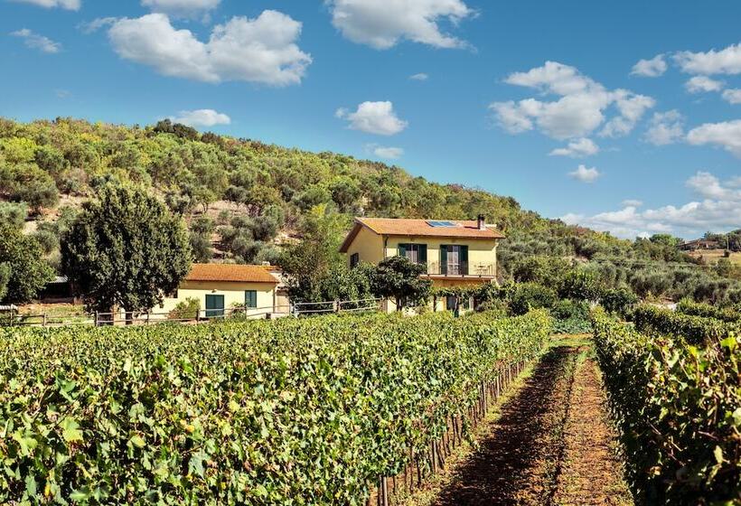 فندق ريفى Poggiolivi Agriturismo Bio In Maremma