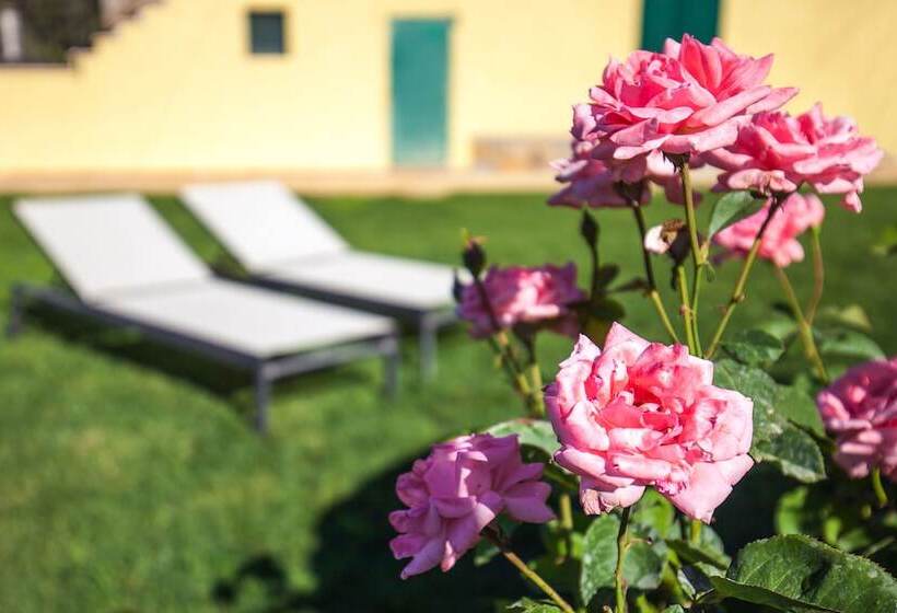 فندق ريفى Poggiolivi Agriturismo Bio In Maremma