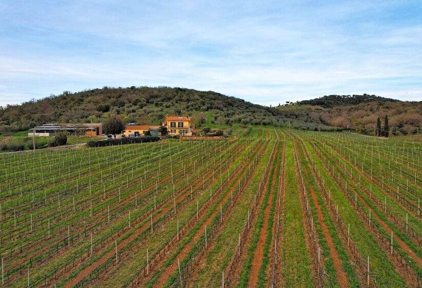 فندق ريفى Poggiolivi Agriturismo Bio In Maremma
