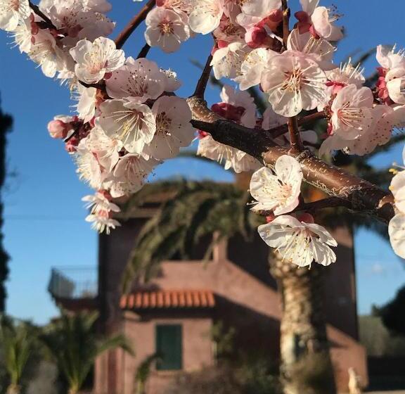 בית מלון כפרי Tenuta De Fanti Agriturismo