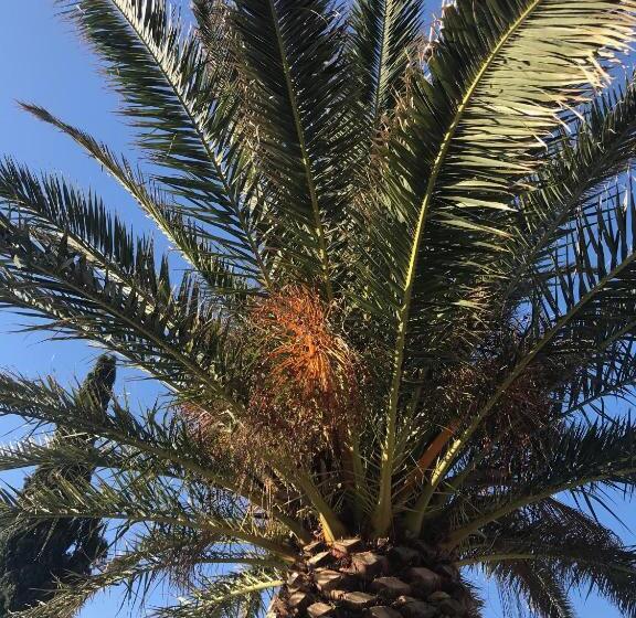 בית מלון כפרי Tenuta De Fanti Agriturismo