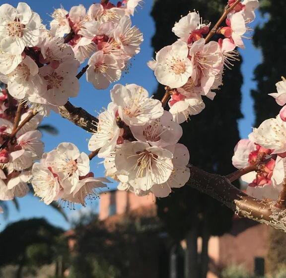 בית מלון כפרי Tenuta De Fanti Agriturismo