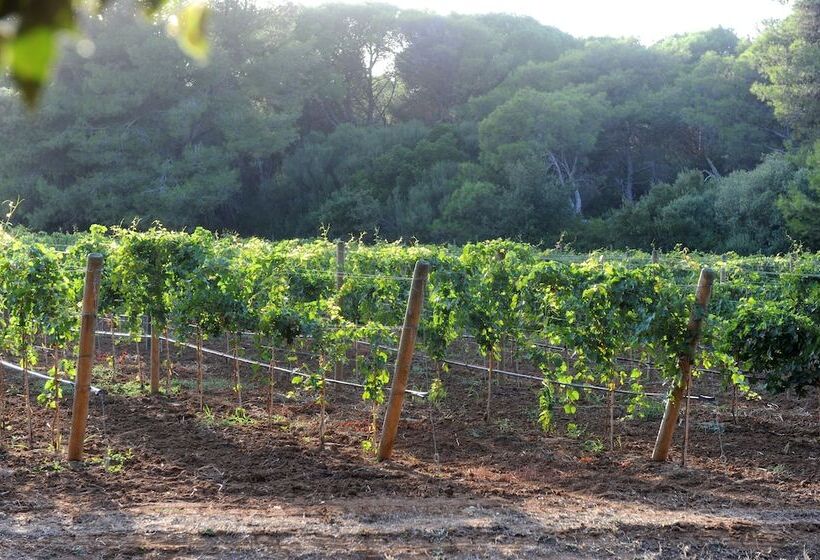 교외 호텔 Tenuta Vigna Corallo