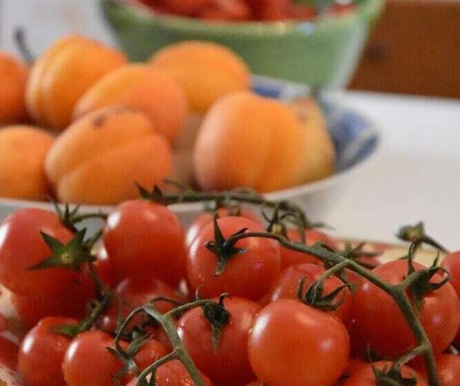 ペンション Art & Breakfast