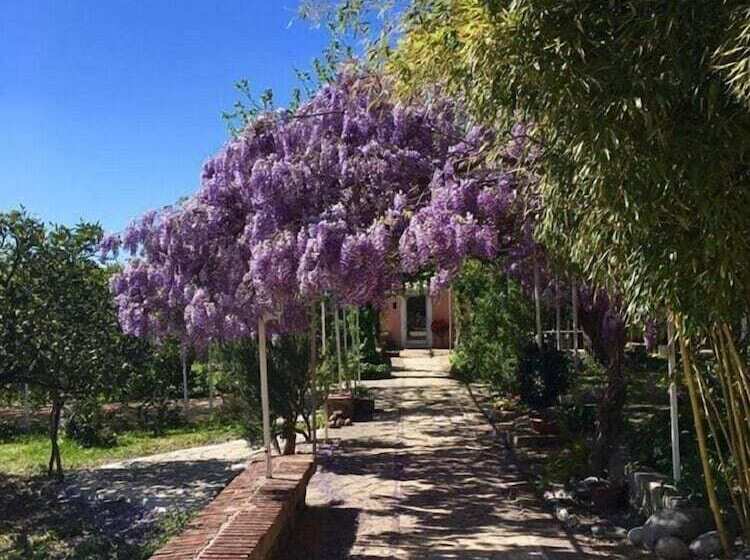 פנסיון Casale Del Gelso