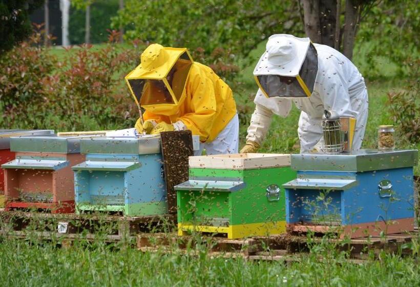 פנסיון Casale Del Gelso