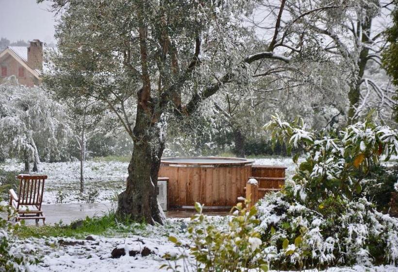 פנסיון Casale Del Gelso