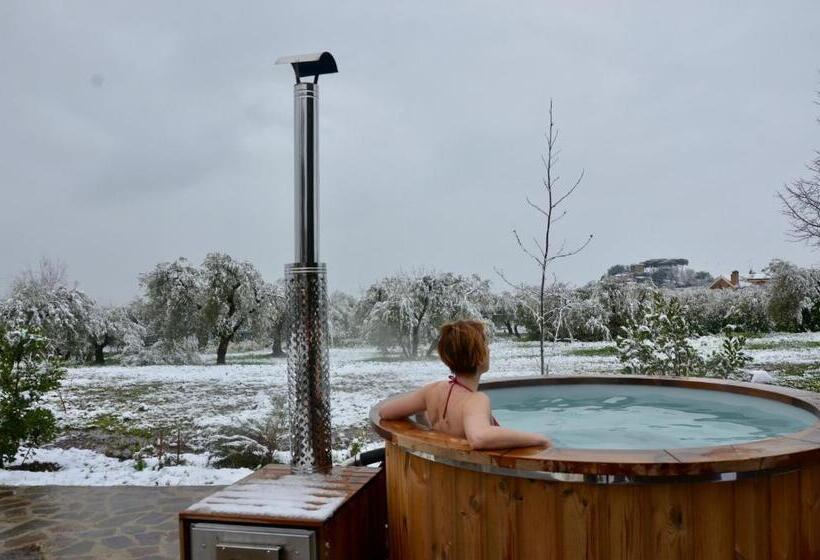 פנסיון Casale Del Gelso