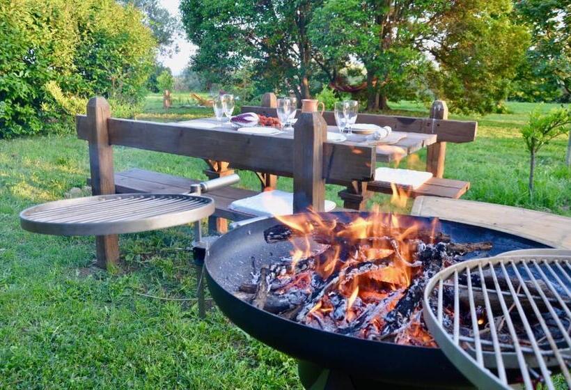 פנסיון Casale Del Gelso