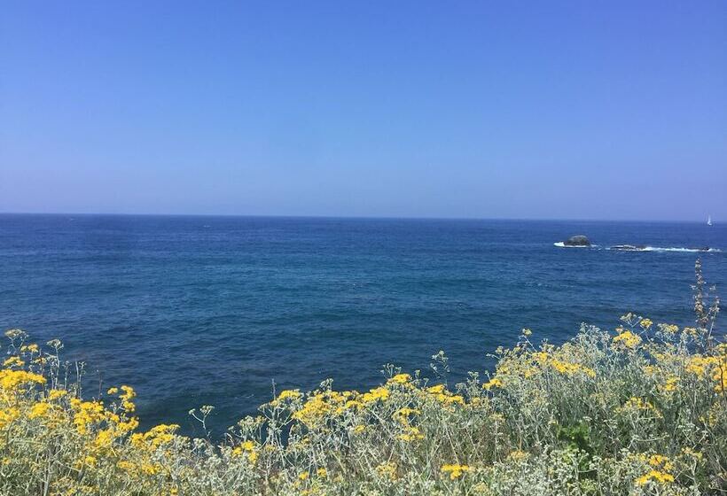 פנסיון Harbour View