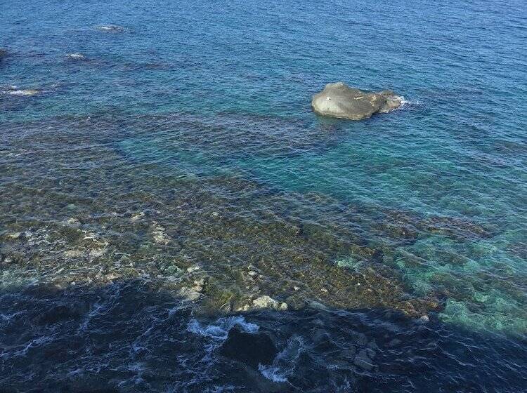 פנסיון Harbour View