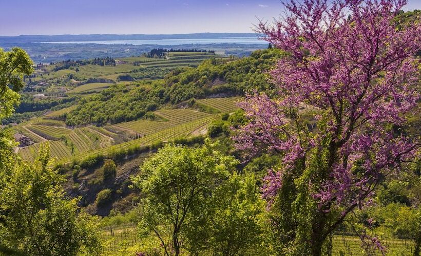 B&b Boutique Osteria Della Pieve