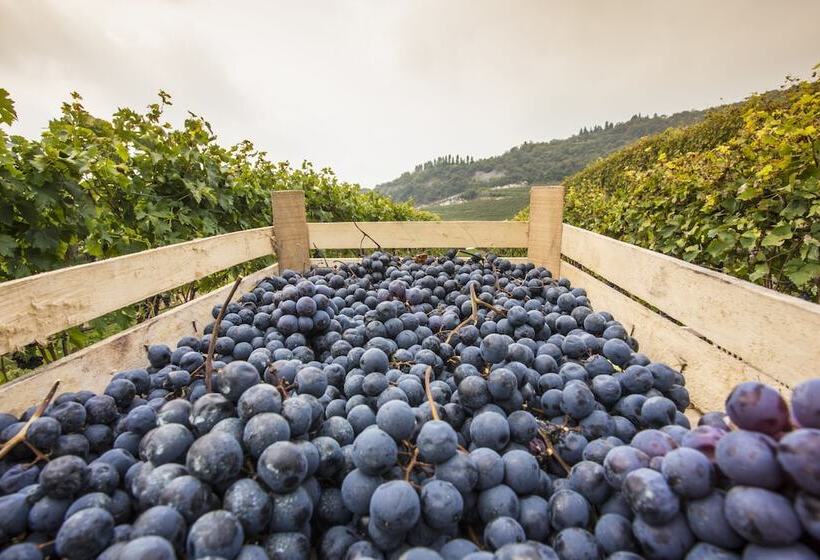 B&b Boutique Osteria Della Pieve