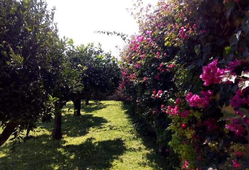 민박 Baglio Olivastro