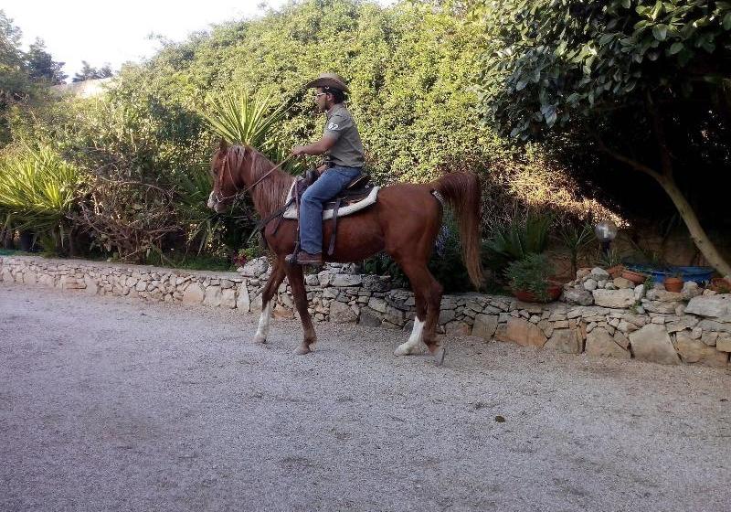 مبيت وإفطار Casato Calabrese