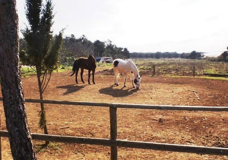 مبيت وإفطار Casato Calabrese