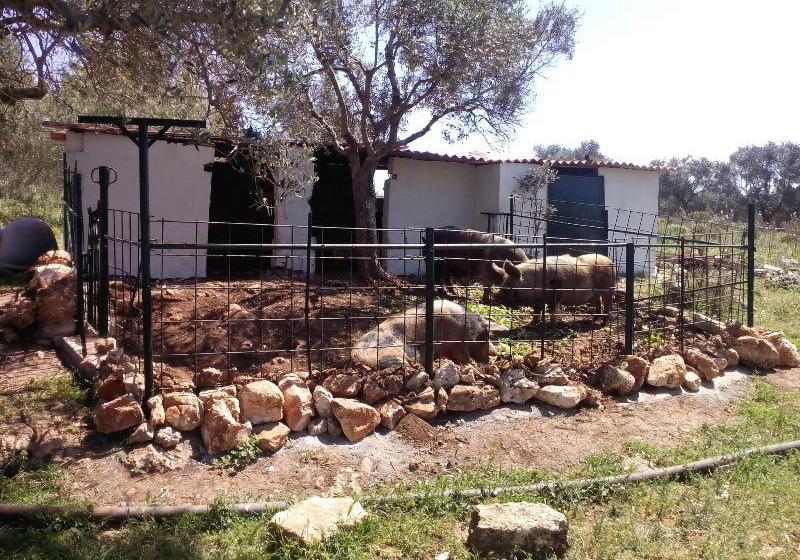 مبيت وإفطار Casato Calabrese