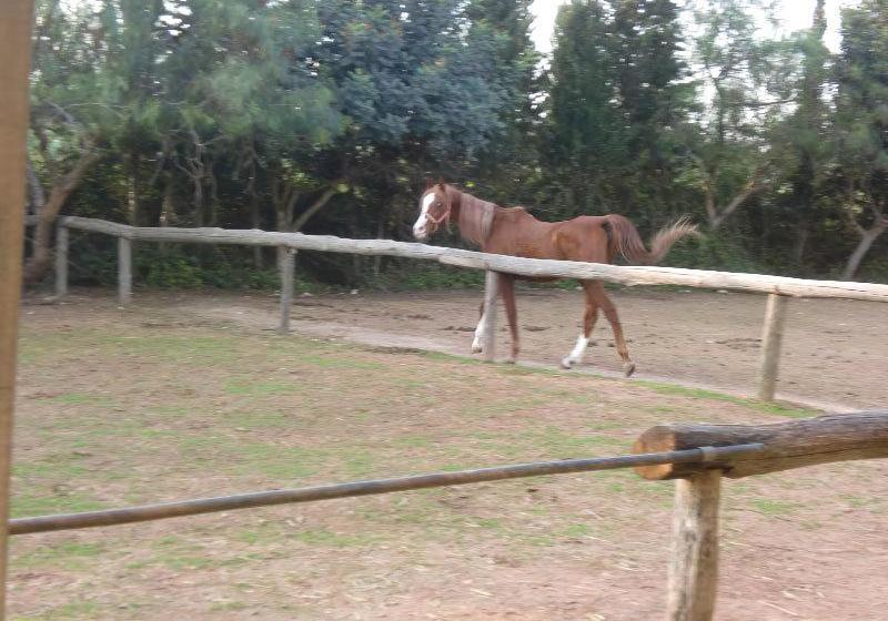 مبيت وإفطار Casato Calabrese