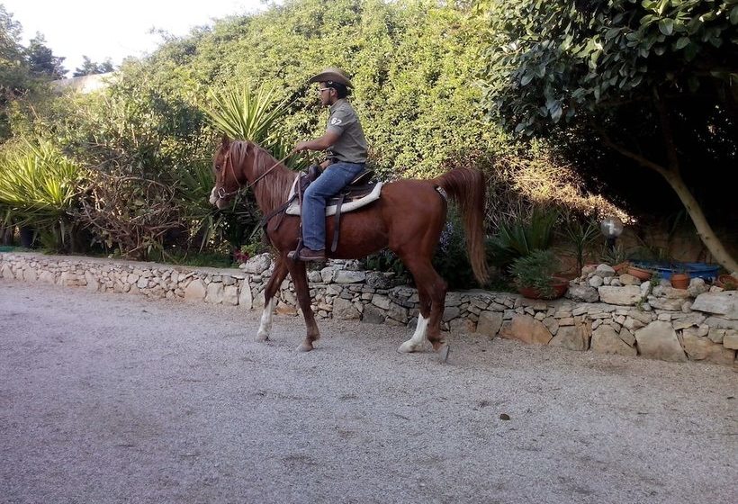 مبيت وإفطار Casato Calabrese