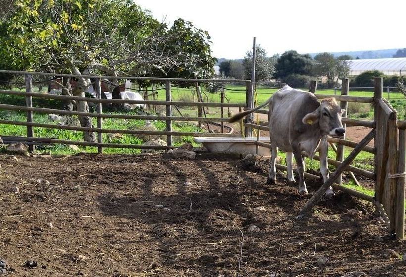 مبيت وإفطار Casato Calabrese