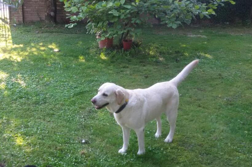 צימר Fiori Di Maggio