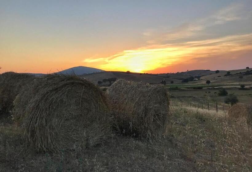 צימר Macchiabuia