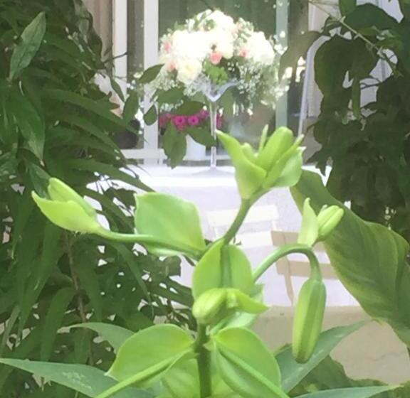 Femily B&b Bed And Breakfast Di Puglia In   Bari