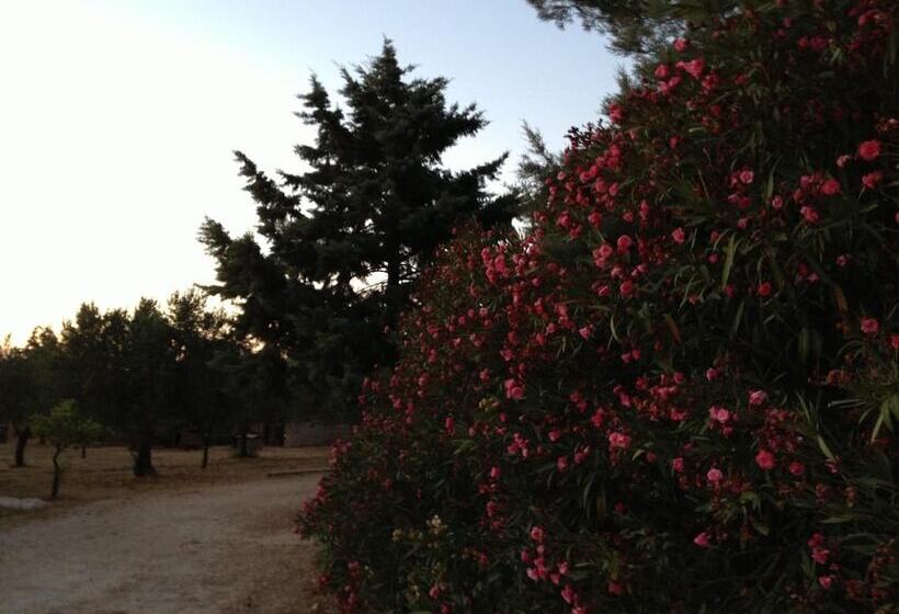 مسافرخانه Case Vacanze La Giara