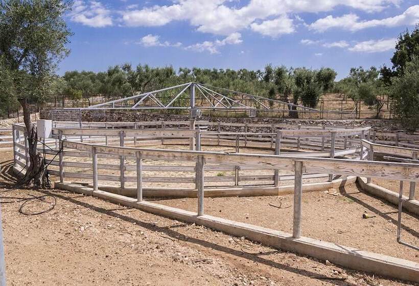 פונדק Casina Murgecchia Fano