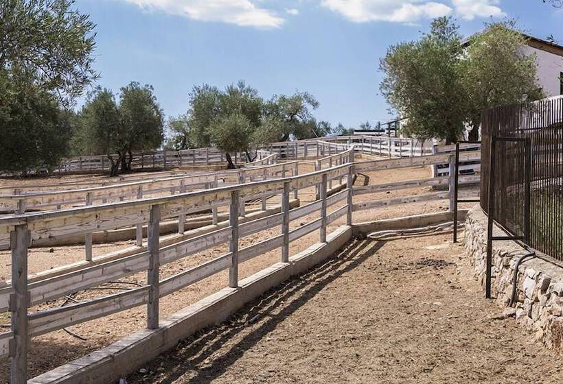 פונדק Casina Murgecchia Fano