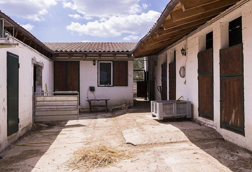 פונדק Casina Murgecchia Fano