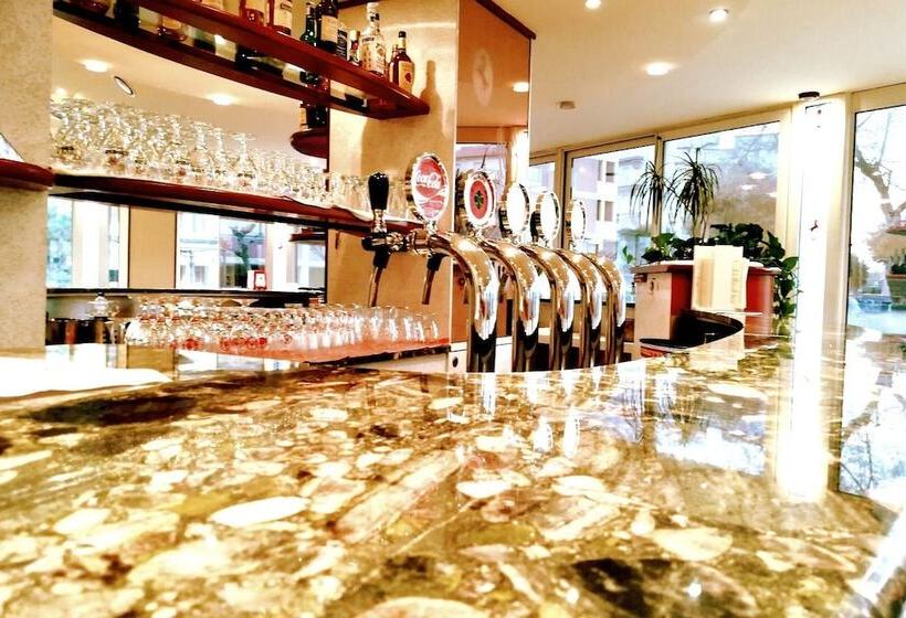 فندق فئة نجمة واحدة Cavallino