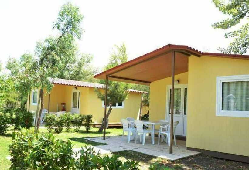 호텔 Camping Le Palme