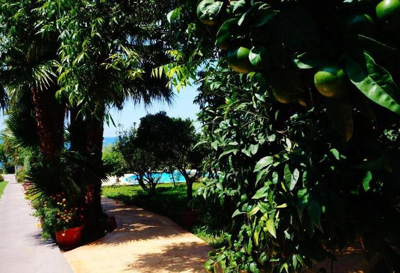 Отель Maremonti