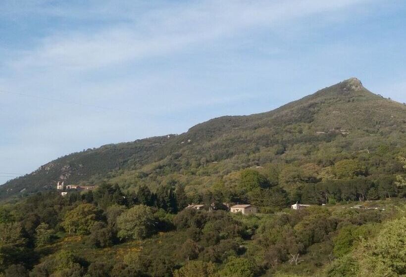 בית מלון כפרי Agriturismo Bosco Pianetti