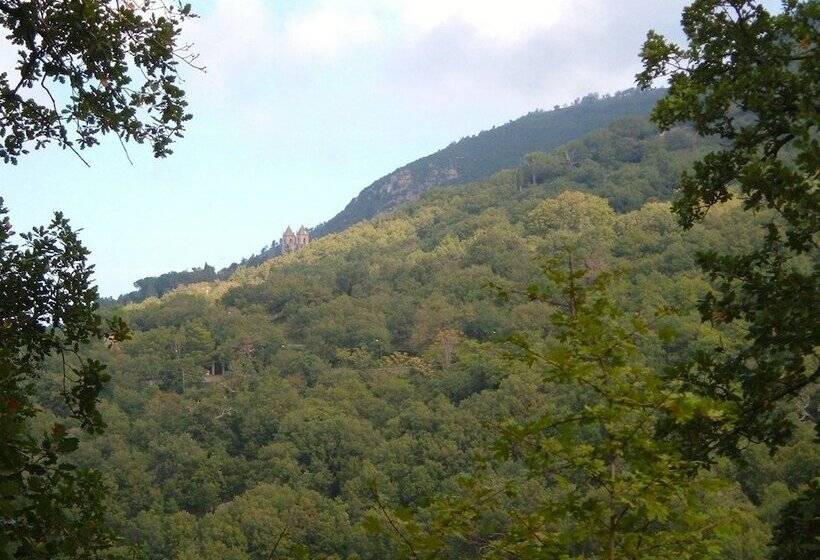 בית מלון כפרי Agriturismo Bosco Pianetti