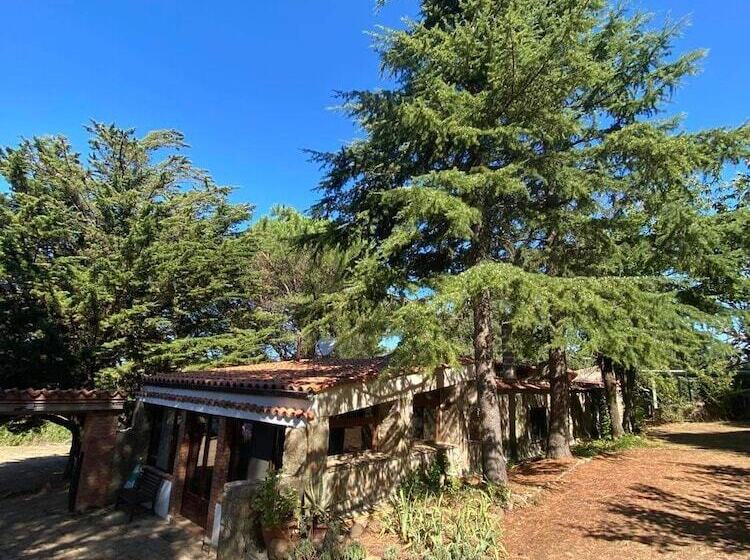 בית מלון כפרי Agriturismo Bosco Pianetti