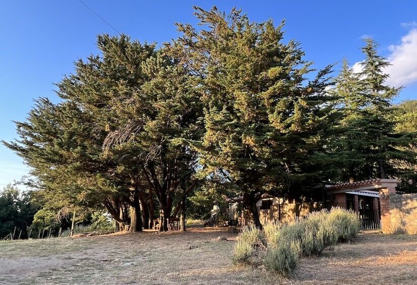 בית מלון כפרי Agriturismo Bosco Pianetti