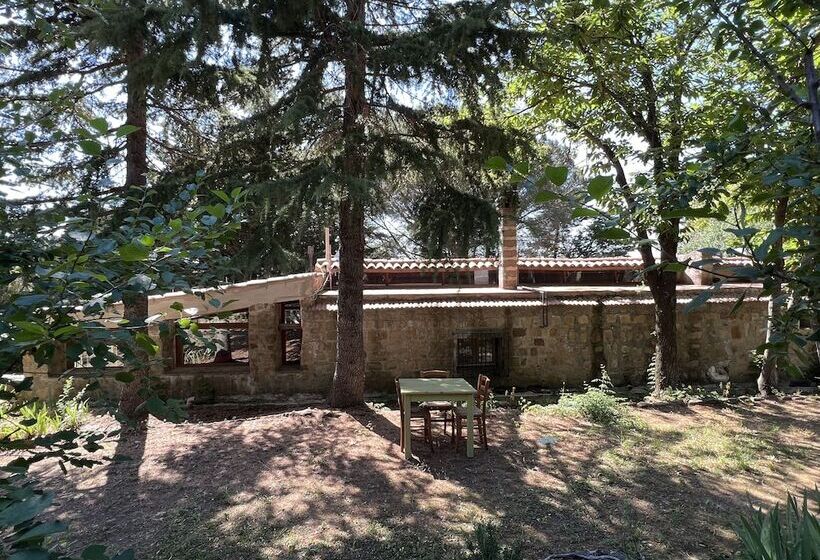 בית מלון כפרי Agriturismo Bosco Pianetti