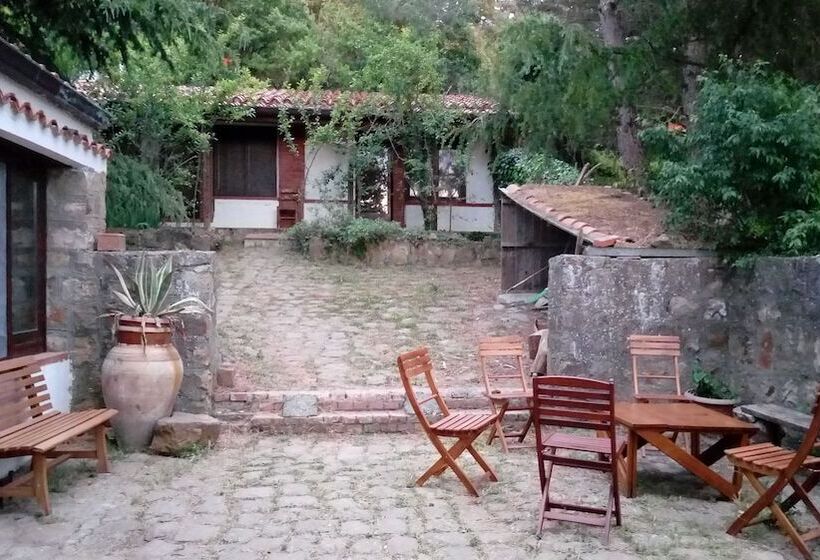 בית מלון כפרי Agriturismo Bosco Pianetti