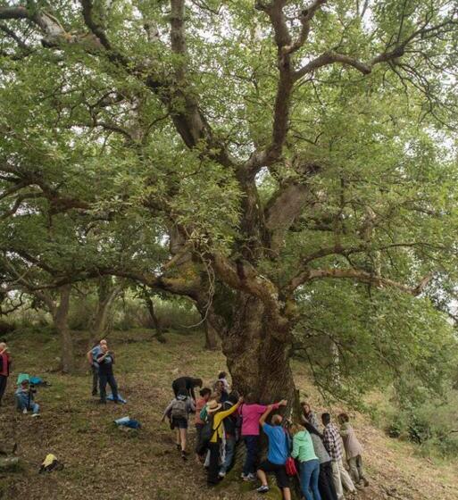 בית מלון כפרי Agriturismo Bosco Pianetti