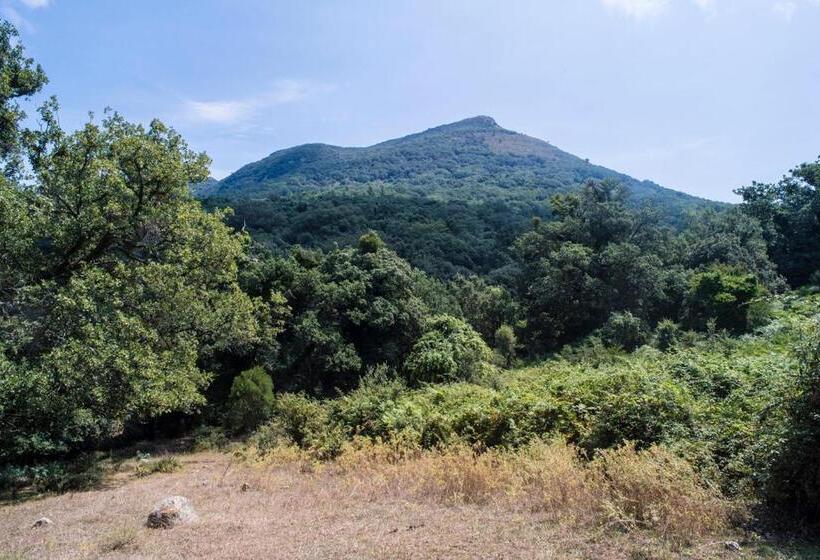 בית מלון כפרי Agriturismo Bosco Pianetti