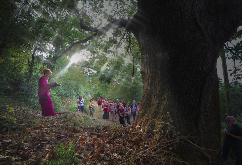 בית מלון כפרי Agriturismo Bosco Pianetti