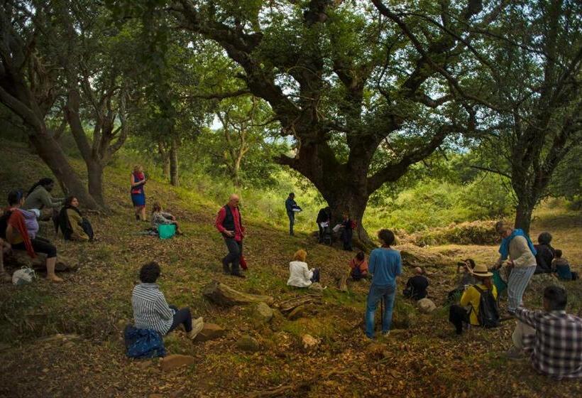 בית מלון כפרי Agriturismo Bosco Pianetti